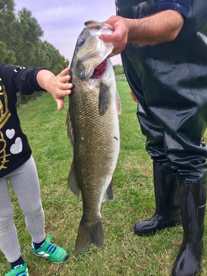 Agriturismo Valle Ca' Del Lovo Carlino Zewnętrze zdjęcie
