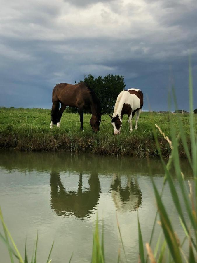 Agriturismo Valle Ca' Del Lovo Carlino Zewnętrze zdjęcie
