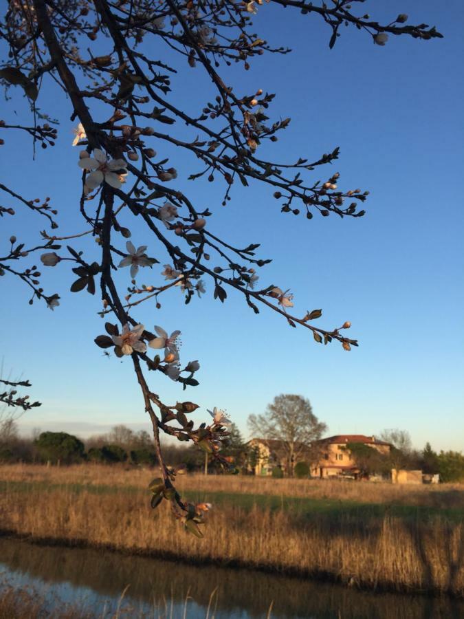 Agriturismo Valle Ca' Del Lovo Carlino Zewnętrze zdjęcie