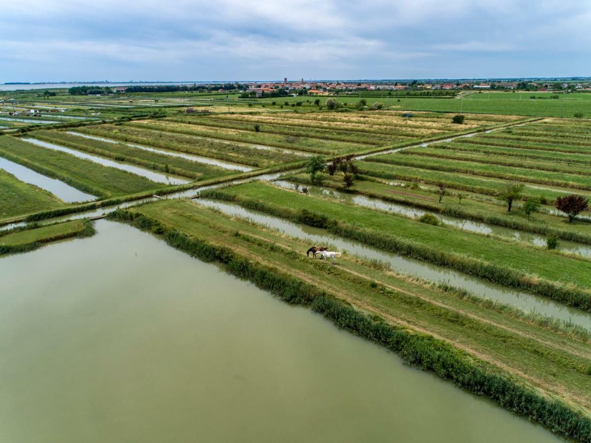 Agriturismo Valle Ca' Del Lovo Carlino Zewnętrze zdjęcie